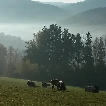 Alojamento de Acomodação e Pequeno-almoço Chambres D'hotes Ferme Le Scarupt La Margottelle *